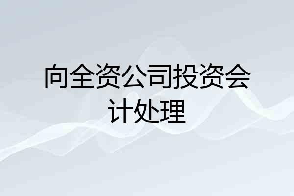 向全资公司投资会计处理