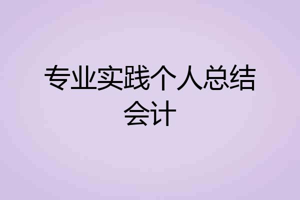 专业实践个人总结会计