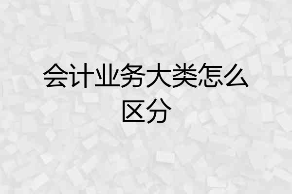 会计业务大类怎么区分