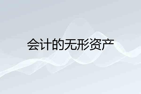 会计的无形资产