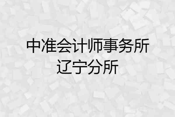 中准会计师事务所辽宁分所