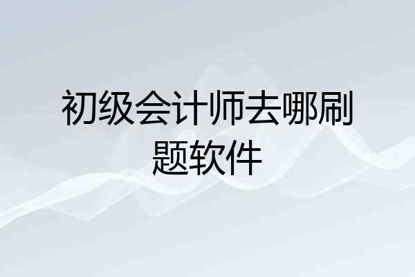 初级会计师去哪刷题软件