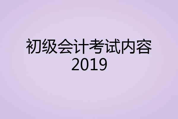 初级会计考试内容2019