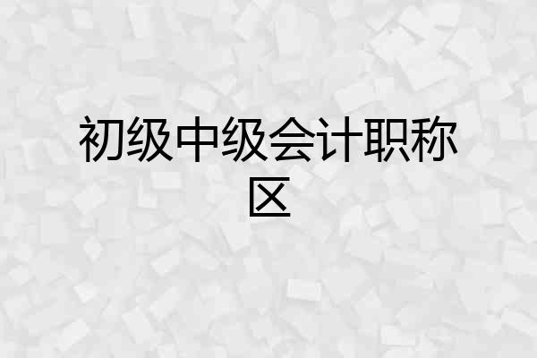 初级中级会计职称区