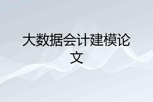 大数据会计建模论文