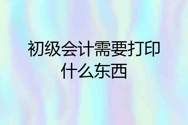 初级会计需要打印什么东西