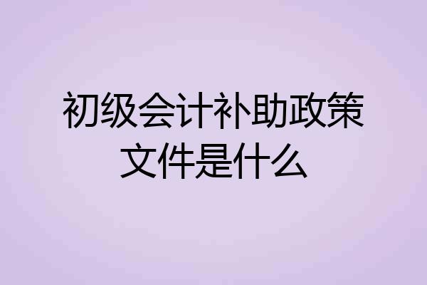 初级会计补助政策文件是什么
