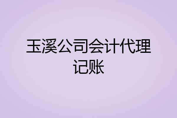 玉溪公司会计代理记账
