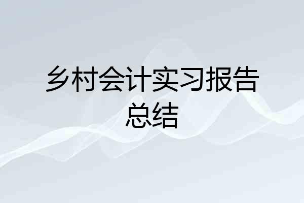 乡村会计实习报告总结