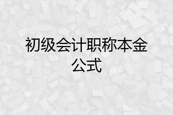 初级会计职称本金公式