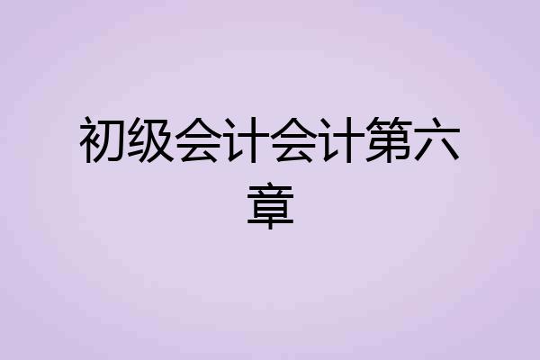 初级会计会计第六章