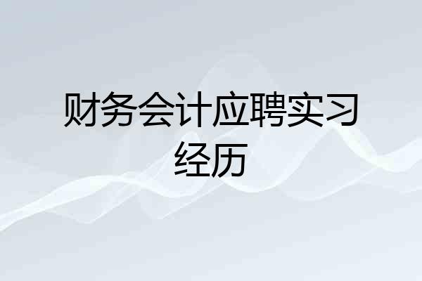 财务会计应聘实习经历