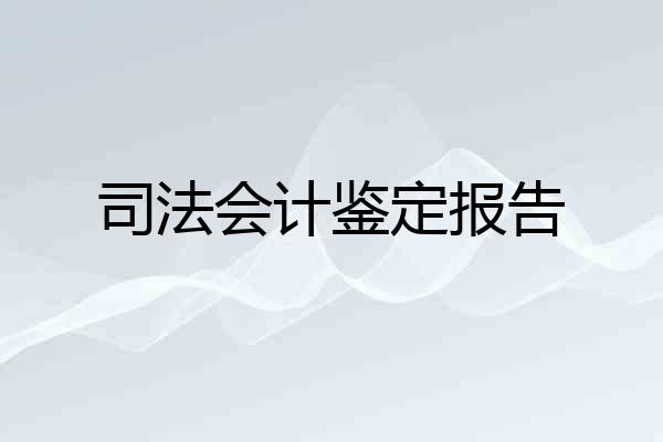司法会计鉴定报告