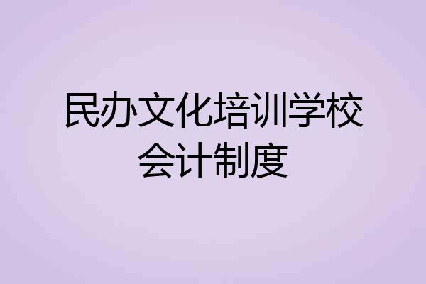民办文化培训学校会计制度