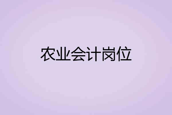 农业会计岗位