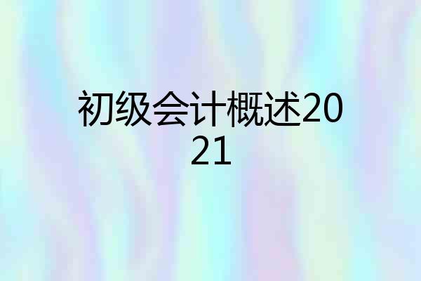 初级会计概述2021