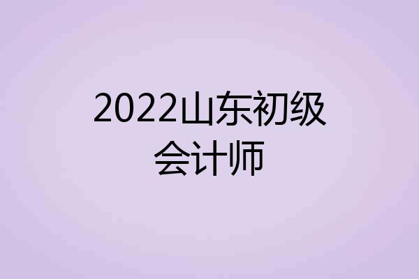 2022山东初级会计师