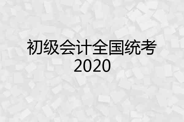 初级会计全国统考2020