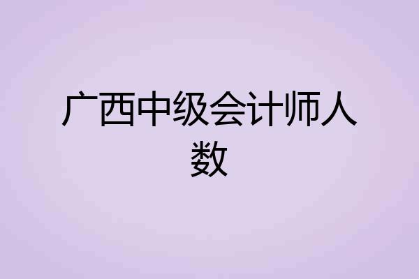 广西中级会计师人数