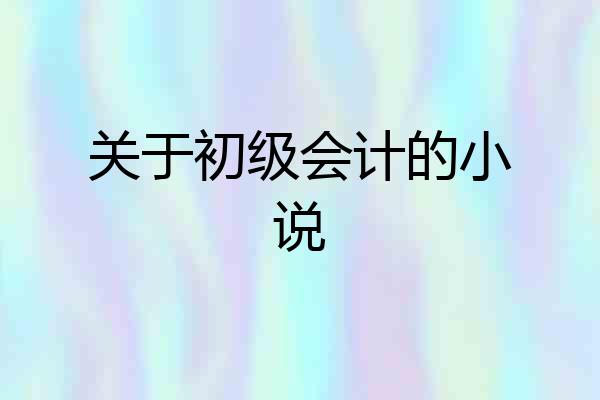关于初级会计的小说