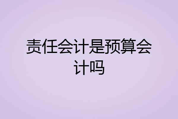 责任会计是预算会计吗