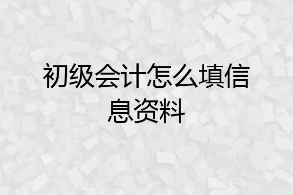 初级会计怎么填信息资料