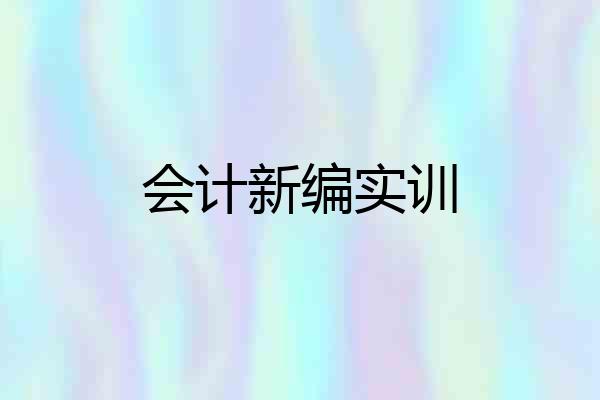 会计新编实训