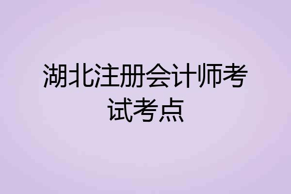 湖北注册会计师考试考点