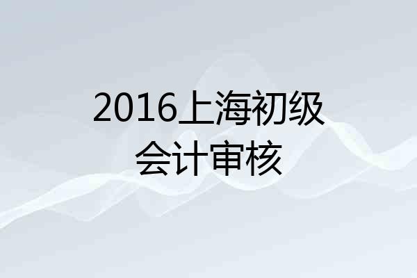 2016上海初级会计审核