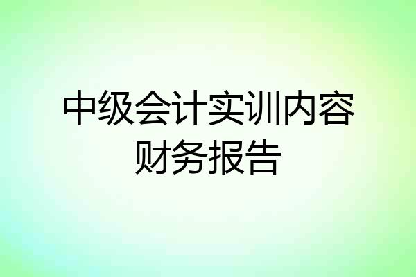中级会计实训内容财务报告