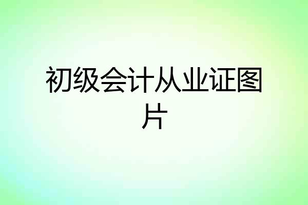 初级会计从业证图片