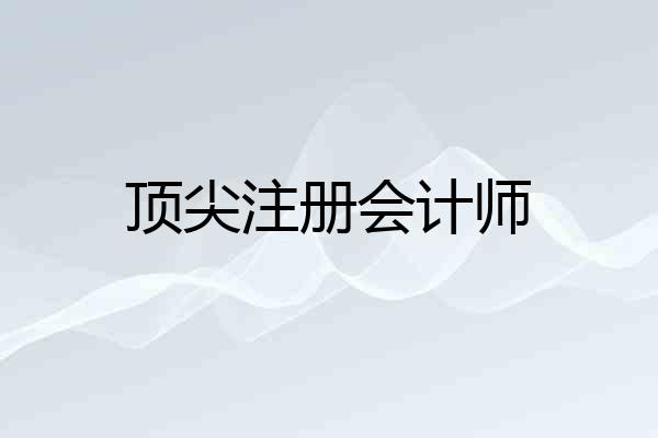 顶尖注册会计师