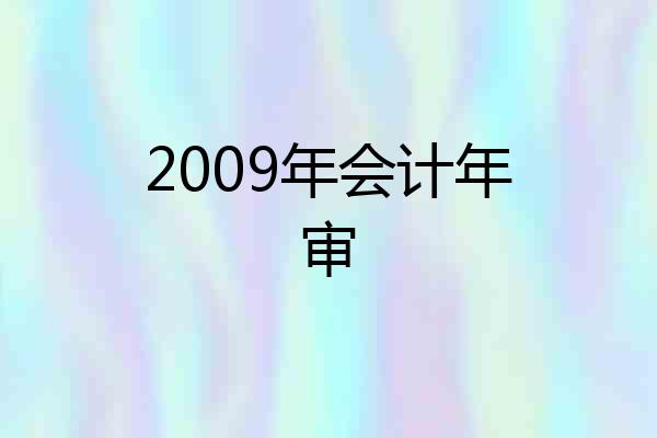 2009年会计年审
