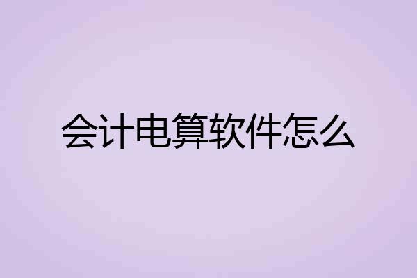 会计电算软件怎么