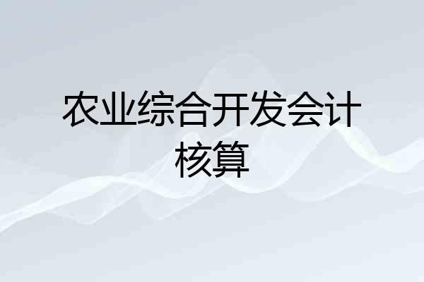 农业综合开发会计核算