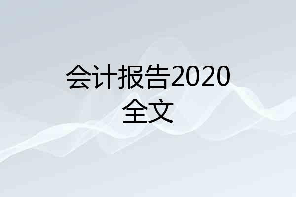 会计报告2020全文