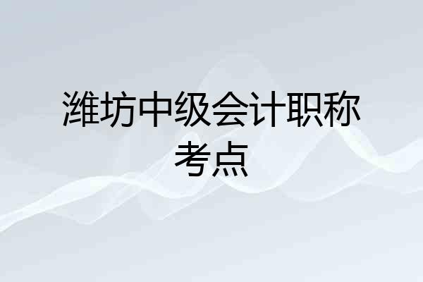 潍坊中级会计职称考点