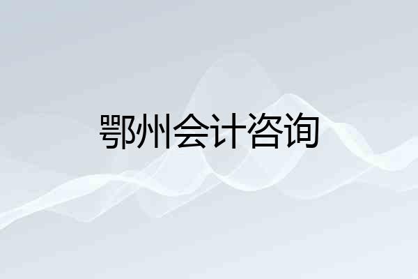 鄂州会计咨询