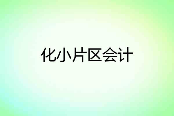 化小片区会计