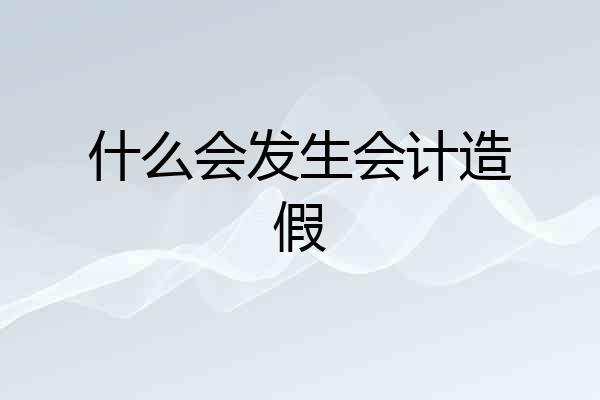 什么会发生会计造假