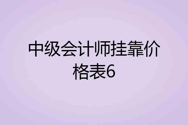 中级会计师挂靠价格表6