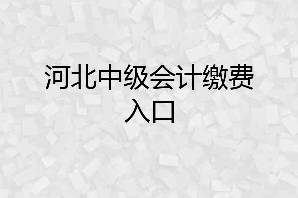 河北中级会计缴费入口