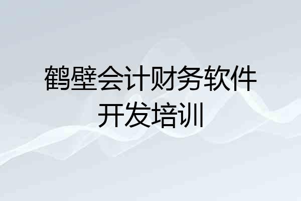 鹤壁会计财务软件开发培训