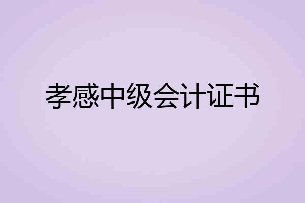 孝感中级会计证书
