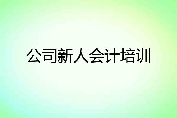公司新人会计培训