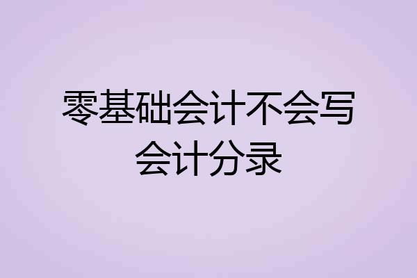 零基础会计不会写会计分录