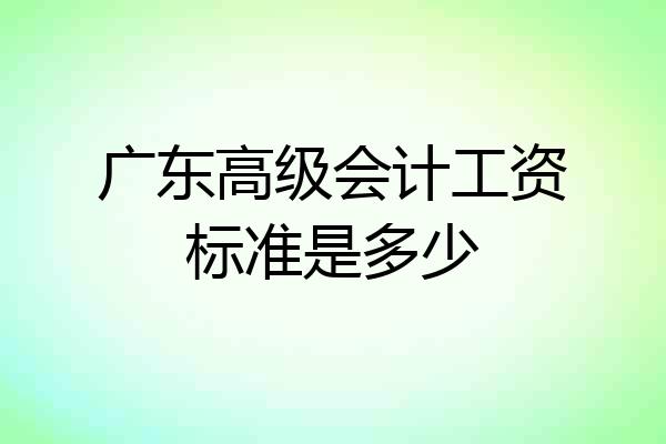 广东高级会计工资标准是多少