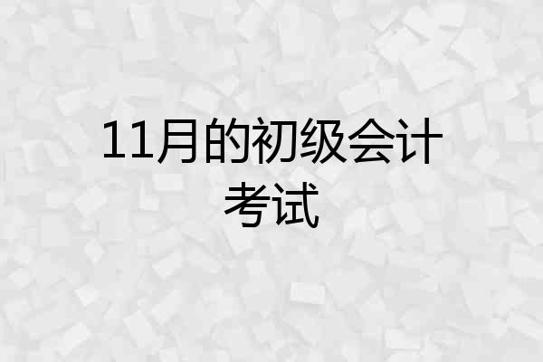 11月的初级会计考试