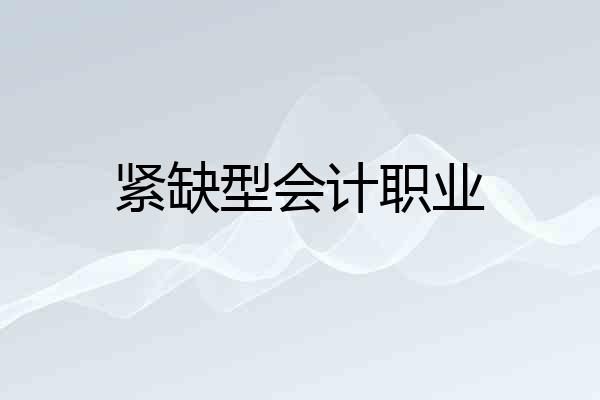紧缺型会计职业