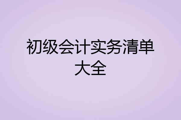 初级会计实务清单大全